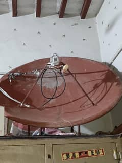 Dish antenna receiver 350 Free HD TV channel big size have Gage