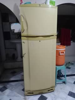 PEL Refrigerator for Sale - Good Condition | Budget Friendly