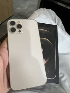 Iphone 12 promax