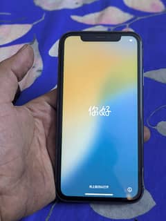 iphone 11 dual pta approved