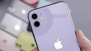 03037524253