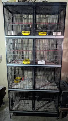 Love birds Cage