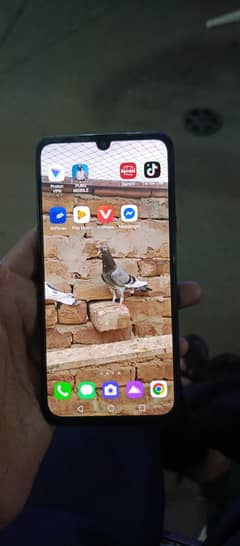 LG