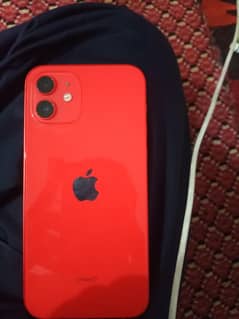 iPhone 12 jv