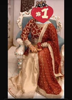 Lehenga choli indian