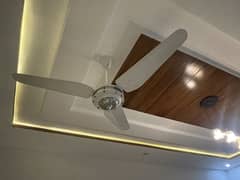 56 inches fans
