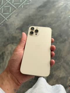 12pro