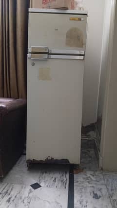 Philips Whirlpool Fridge