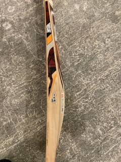 Hardball Bat CA PLUS 10000