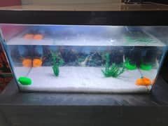 aquarium