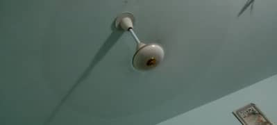 Sufi 100% copper ceiling fan