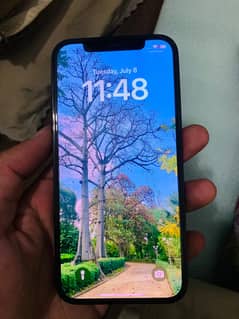 Apple iPhone 12 Pro