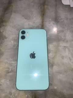 apple11