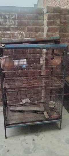 birds Cage