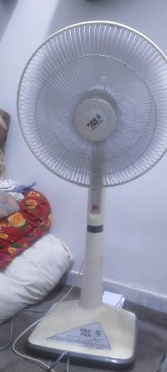 Pak fan