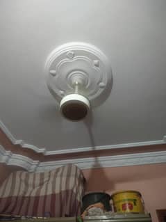 celling fan