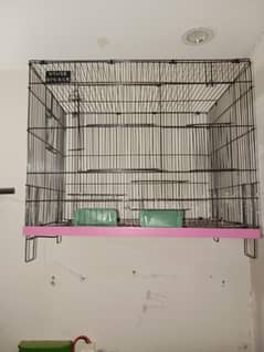 love bird cage