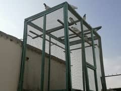 Cage and Pigeon