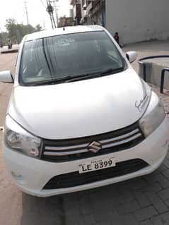 Suzuki cultus vxl 2019