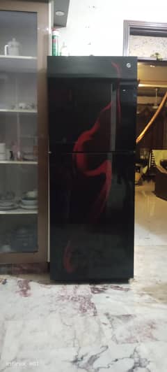 pel refrigerator