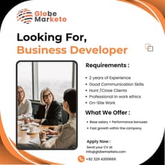Business Development Executive