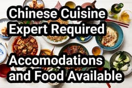 Chinese Cuisine Expert Required