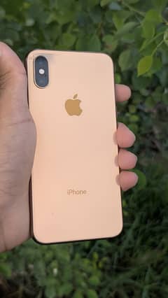 iPhone Xs Golden FU  (original)