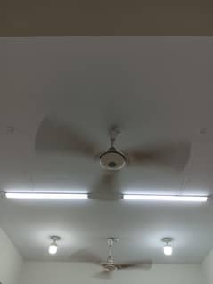 selling fans