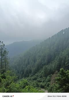 tour to naran