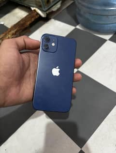 i phone 12 mini