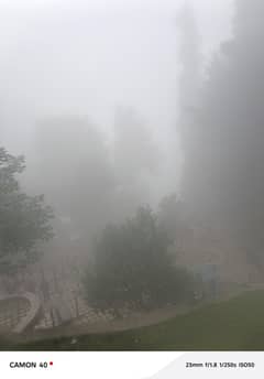 naran tour
