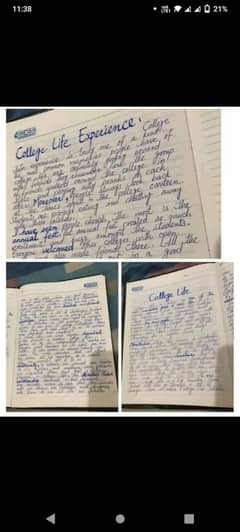 Assignment