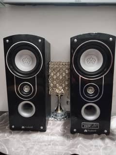 Audionic 2 Piece Speaker In black colour
