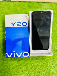 vivo