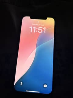 iPhone 12 JV