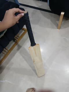kashmiri