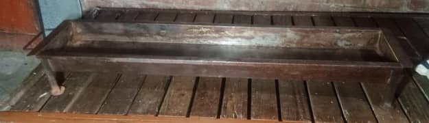 barbe Q angheeti 5 feet for sale