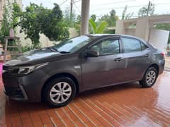 Xli 2020 manual only fender touch up