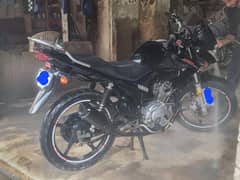 yamaha ybr125 like new