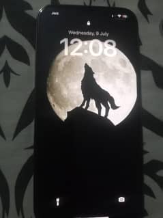 12 pro max Pta approve 256 gb