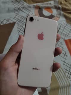 IPhone 8 pta approved  64 gb