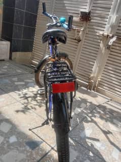 best cycle of 2025