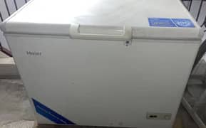 Haier freezer