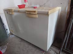 D freezer 1 year used