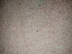 carpet