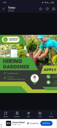 Malli ki need urgent Lahore Gardner experience base