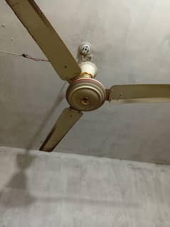 ceiling fan fan