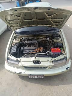 sukuzi baleeno full geniun