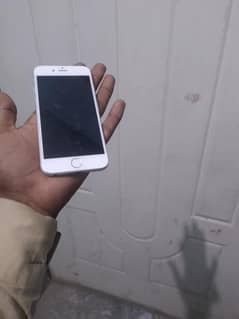iphone 6