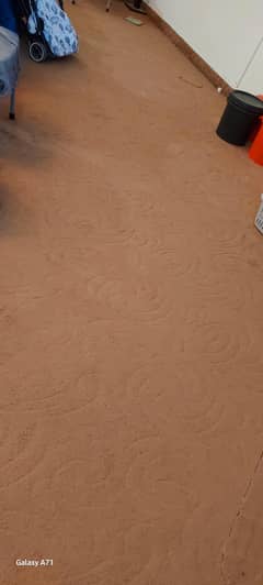 brown carpet for sale